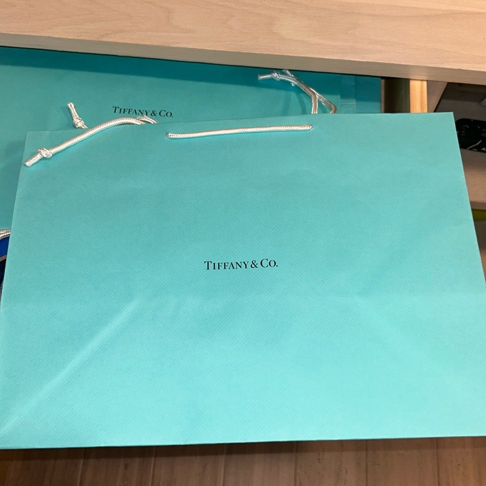 NWOT Tiffany & Co Tiffany Blue Large Shopping Bag